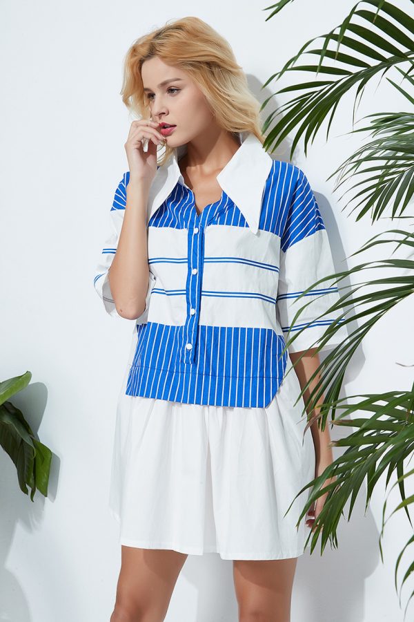 Willow Striped Tunic Dress (Blue Striped)